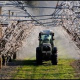 agriculture2
